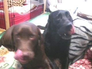 ジャック＆ジュリア1222-1