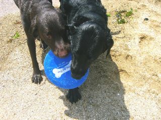 ジャック＆ジュリア　海7