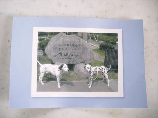 ミヨミヨさんからのおみやげ2