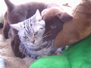 マイケル＆ジュリア