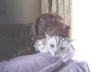 アンジェラ＆ジュリア