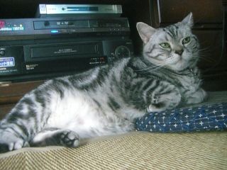 マイケル　５歳のお誕生日2