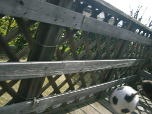 お腹直撃後フォト