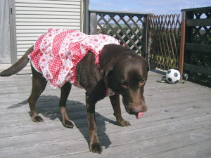 ジュリア　イチゴフリフリキャミソール-01