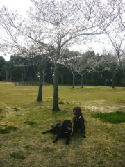 赤穂海浜公園10