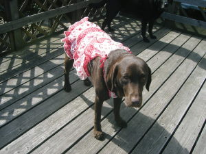 ジュリア　イチゴフリフリキャミソール-02