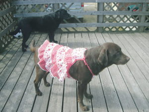 ジュリア　イチゴフリフリキャミソール-03