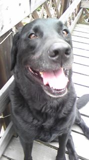 ジャック　笑顔