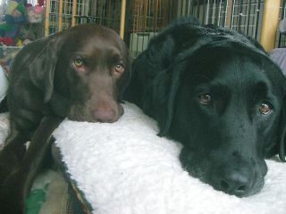 ジャック＆ジュリア　待ちぼうけ