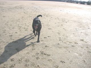 ジャック　20071223