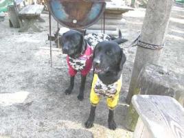 ナティー＆アル