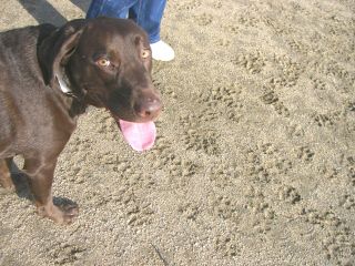 ジュリア　20071223