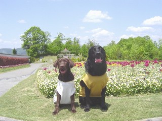 ジャック＆ジュリア 国営公園
