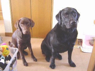 ジャック＆ジュリア 整列