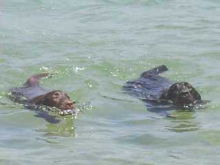 ジャック＆ジュリア 海水浴