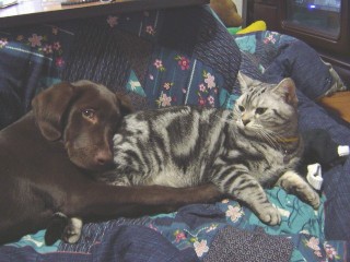 マイケル＆ジュリア