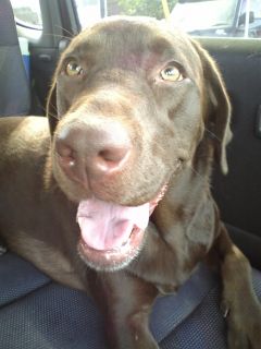 ジュリア　にっこり