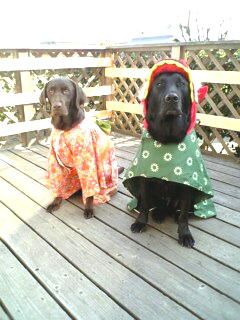 ジャック＆ジュリア　お正月