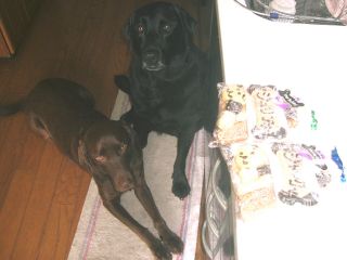 ジャック＆ジュリア　クッキー