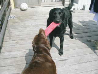 ジャック＆ジュリア　ウッドデッキ４