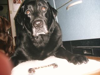 ジャック＆ジュリア　クッキー3