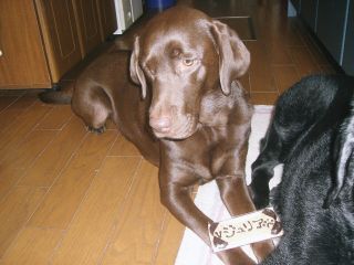 ジャック＆ジュリア　クッキー4