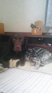 マイケル＆ジュリア　on　枕