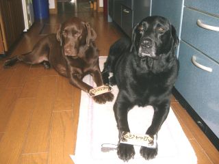 ジャック＆ジュリア　クッキー5