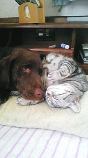 マイケル＆ジュリア　on　枕2