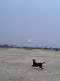 ジャック フリスビー２