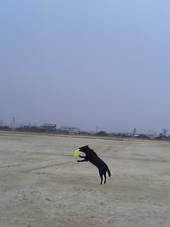 ジャック フリスビー３