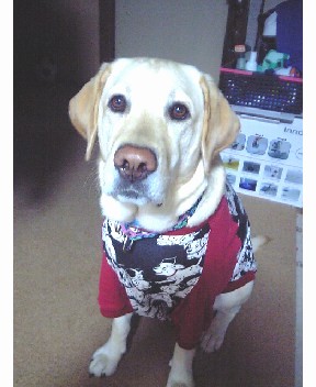 まいちゃん ダルメシアン隊