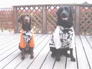 ジャック＆ジュリア ダルメシアン隊１