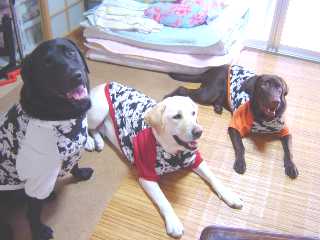 ジャック＆ジュリア ダルメシアン隊２