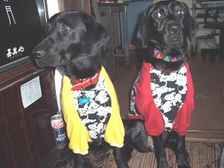 ナティーちゃん＆アルくん ダルメシアン隊