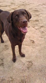 ジュリア　グラウンド