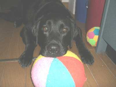 ジャック　ボール乗せ