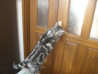 マイケル　大脱走２