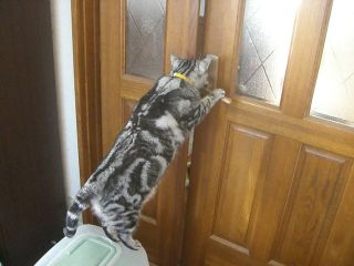 マイケル　大脱走３