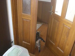 マイケル　大脱走４