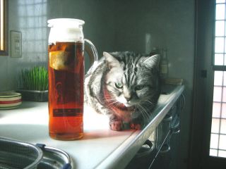 マイケルと紅茶１