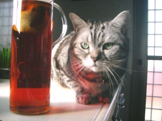 マイケルと紅茶２