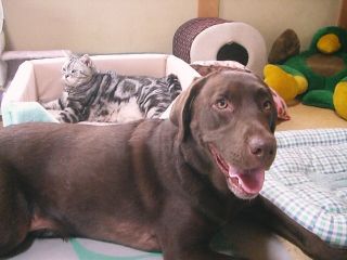 マイケル　in　ベッド　with　ジュリア