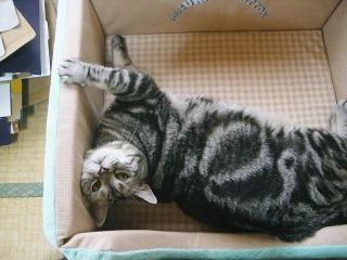 マイケル　おくつろぎ2