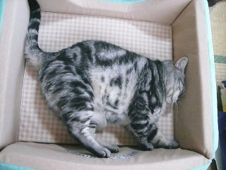 マイケル　おくつろぎ3