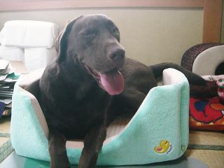 ジュリア　in　ベッド2