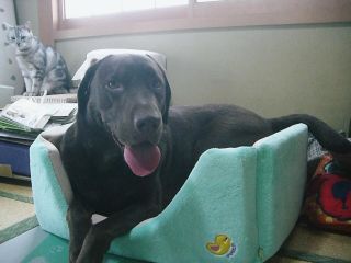 ジュリア　in　ベッド3