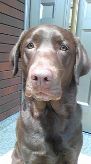 ジュリア　玄関