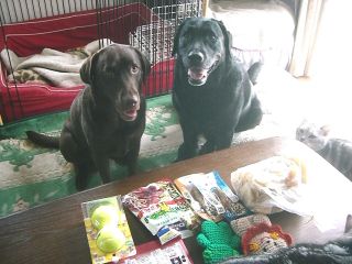 ジャック＆ジュリア　集合