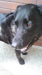 ジャック　玄関